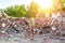 Close-up view ruins of old demolished industrial building. Pile of concrete and brick rubbish, debris, rubble and waste of