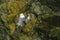 Close-up view of seagull nesting on a cliff