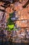 Close up view of the seepages in the walls of the canyon of the King George River - Northern Kimberley..A very wild and remote