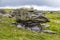 A close up view showing a glacial erratic deposited on the limestone pavement on the southern slopes of Ingleborough, Yorkshire UK