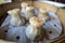 Close up view of shrimp and kurobuta pork shao mai dumplings inside a steamer basket at a restaurant