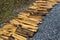 A close-up view of small pieces of firewood drying in the sun to make firewood charcoal.