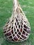 Close up view of Snake fruit (Salak) in a traditional bamboo