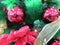 Close up view on some colorful decorations on a Christmas trees