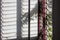 Close-up view of spooky leaf shadows with lights shining through a glass louvered window