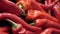 Close up view of a stack of small fiery red chilli peppers market