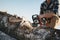 Close up view on strong lumberjack wearing plaid shirt and hat use chainsaw in sawmill