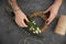 Close up view of tattooed florist preparing flower