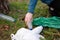 Close up view of a teenage girl hand collecting plastic on the forest. Sustainability concept