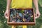Close-up view of teenager female person girl holding vintage handmade wooden box with set collection of dried wild