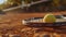 Close Up View Of A Tennis Racket And Ball On Clay Court, Capturing The Texture Of The Red Clay