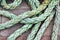 Close up view of thick, green ship rope