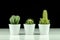 Close-up view of three cacti in pots on black background