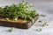 Close up view of thyme bunch. Herb thyme on table