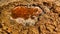 Close-up view to salt pan at Katam aka Baramar lake group of Ounianga kebir lakes at the Ennedi, Chad