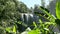 Close-up view to Waterfall in rainforest with palm tree foreground