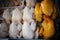 Close-up view, top view, fresh chicken in the white and yellow food market, lots