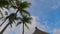 Close up view of tops of palms and other tropical trees against blue sky with white clouds.