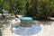 Close up view of an traditional old water well. Green trees on background.