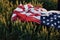 Close up view of USA flag that lying down on the agricultural field. Conception of freedom