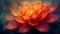 Close-up view of an vibrant orange flower covered in glistening water droplets