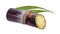 Close-up view watercolor illustration of a sugar cane, isolated on white background.