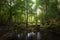 Close up view waterfall in deep forest at National Park, Waterfall river scene.