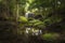 Close up view waterfall in deep forest at National Park, Waterfall river scene