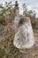 Close up view of weathered tombstone on old abandoned city or village cemetery. Weathered gravestone on abandoned