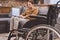 close-up view of wheelchair and disabled middle aged man