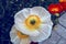 Close up view of white cultivated iceland poppies