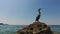 Close-up view of wild bird Great Cormorant sitting on a rock in the sea. Area near old city Piran and Strunjan. Slovenian Istria.