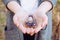 Close up view of woman hands holding and using Orgonite or Orgone pyramid.