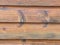 Close up view of wood plank siding on exterior cabin wall