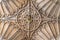 Close-up view of the woodwork ceiling and cathedral crest in Saint Davids in Pembrokeshire