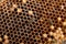 Close up view of the working bee on the honeycomb with sweet hon