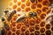 Close up view of the working bees on honey cells.Life of bees. Reproduction of bees. generative AI