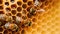 Close up view of the working bees on honeycells. Generative AI.