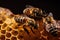 Close up view of the working bees on honeycells. Generative AI