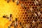 Close up view of the working bees on honeycells. Generative AI