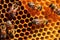 Close up view of the working bees on honeycells - selective focus. Generative AI