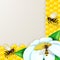 Close up view of the working bees on honeycombs