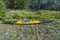 Close up view of yellow kayak isolated on green grass field and green forest trees  background