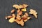 Close up view of yellow oak leaves and nuts isolated on grey background. Colorful nature backgrounds / textures. Autumn concept