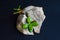 Close-up viewof the gray rock split in two parts with the small green succulent plant. Motivational concept of stamina, strength,