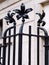 Close-up of vintage Victorian black cast iron fence