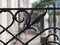 Close-up of vintage Victorian black cast iron fence