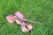 Close-up violin details with grass lawn book as background musical art concept relaxed casual enjoy free time