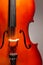 Close-up violoncello in vertical position