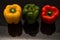 Close up. Vivid multicolored sweet peppers paprika. Black background